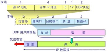計算機網(wǎng)絡(luò)知識總結(jié)